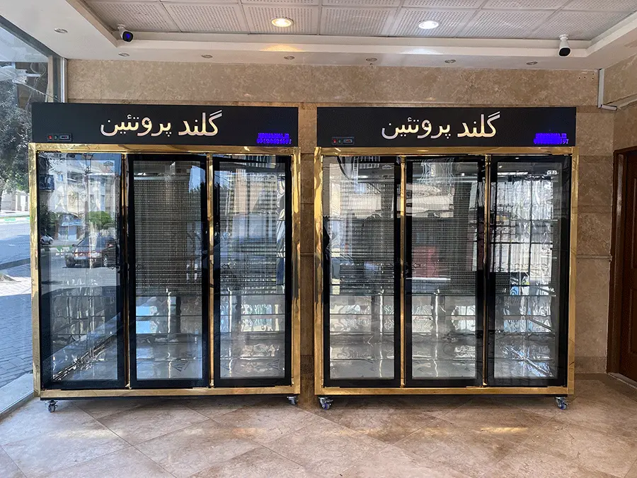 یخچال های مخصوص پروتئین مه سرما